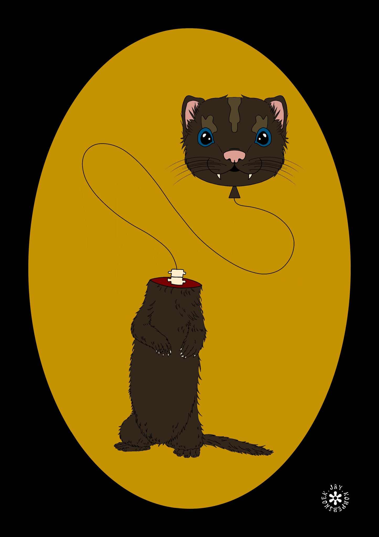 Ferret