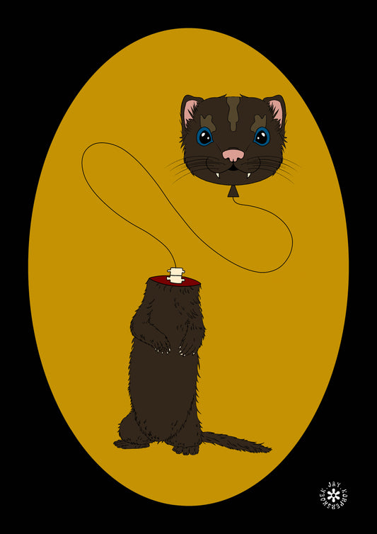 Ferret